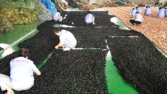 泰州拓野戶外用品