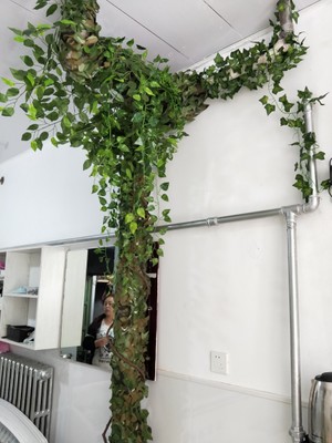 TB2YF28rWmWBuNjy1XaXXXCbXXa_!!0-rate.jpg_400x400