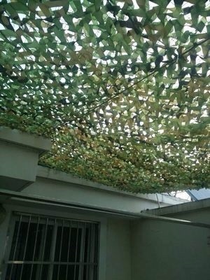 偽裝網(wǎng)不是只可以用來(lái)偽裝，更被廣泛應(yīng)用于遮陽(yáng)